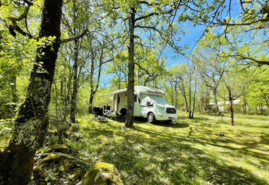 905D4497 F6D3 4460 9944 25BF8E2FBC6D opti - Lodges du Bois Dodo